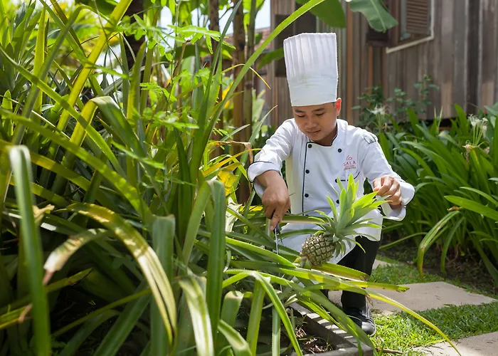 Hotel Sala Siem Reap